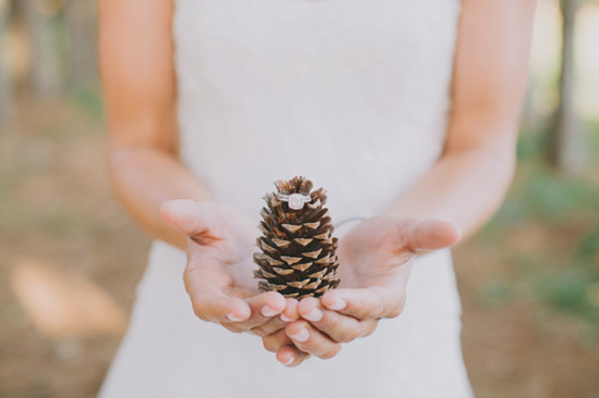 a-wedding-planned-in-secret-by-the-groom