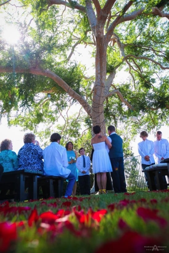 Backyard Wedding in San Diego