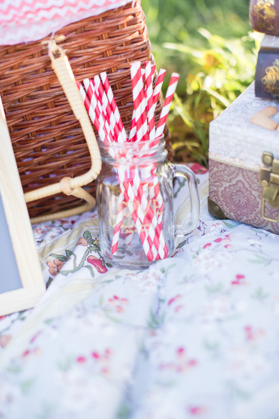 favorite-things-engagement-session