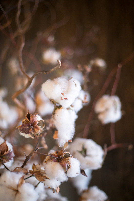fly-south-for-your-winter-wedding