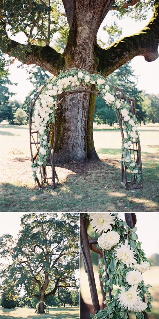floral drapped wedding arch under a giant tree