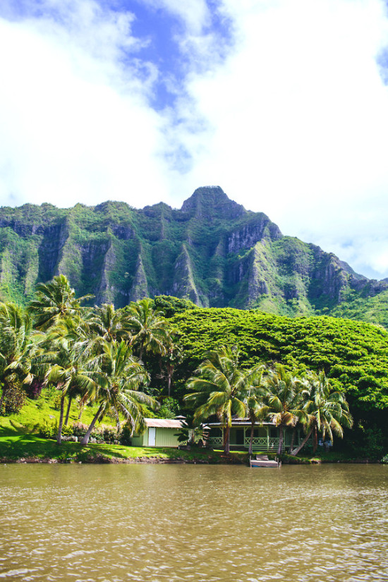 how-to-have-a-wedding-in-hawaii