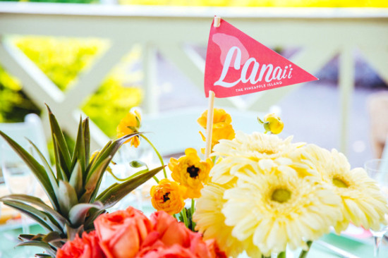 how-to-have-a-wedding-in-hawaii