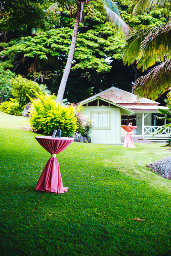 how-to-have-a-wedding-in-hawaii