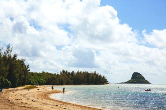 how-to-have-a-wedding-in-hawaii