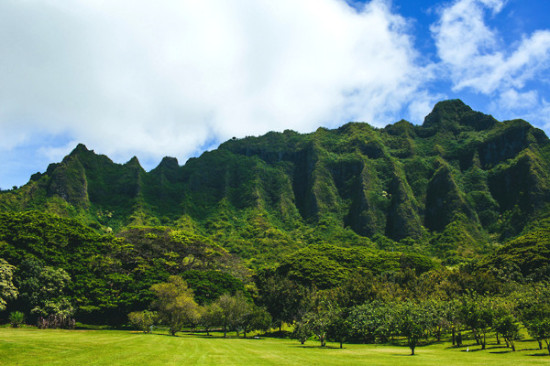 how-to-have-a-wedding-in-hawaii