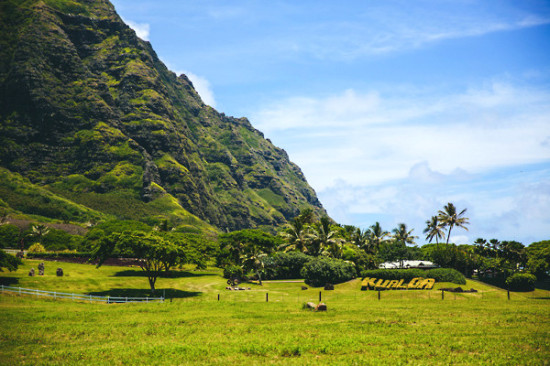 how-to-have-a-wedding-in-hawaii