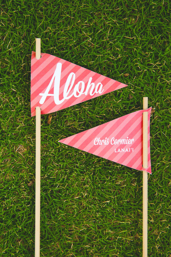 how-to-have-a-wedding-in-hawaii