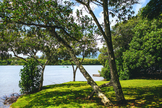 how-to-have-a-wedding-in-hawaii