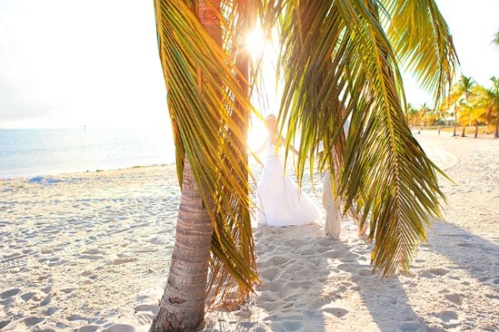 Beach wedding bride groom palm trees bright sunlight