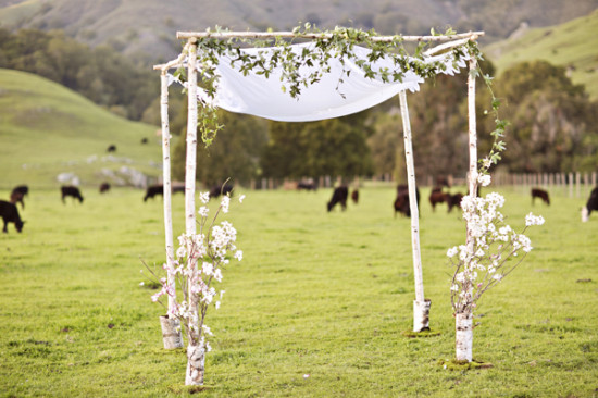 run-for-the-hills-and-get-married