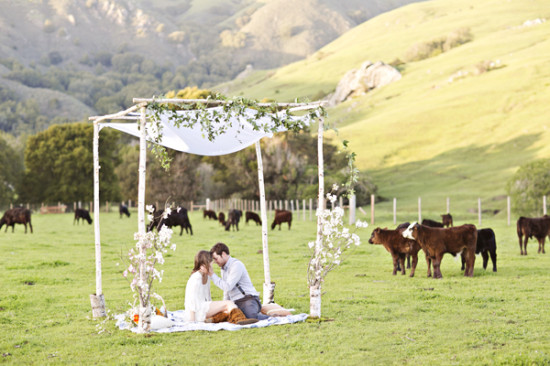 run-for-the-hills-and-get-married