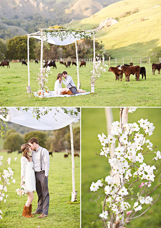 wedding in a pasture