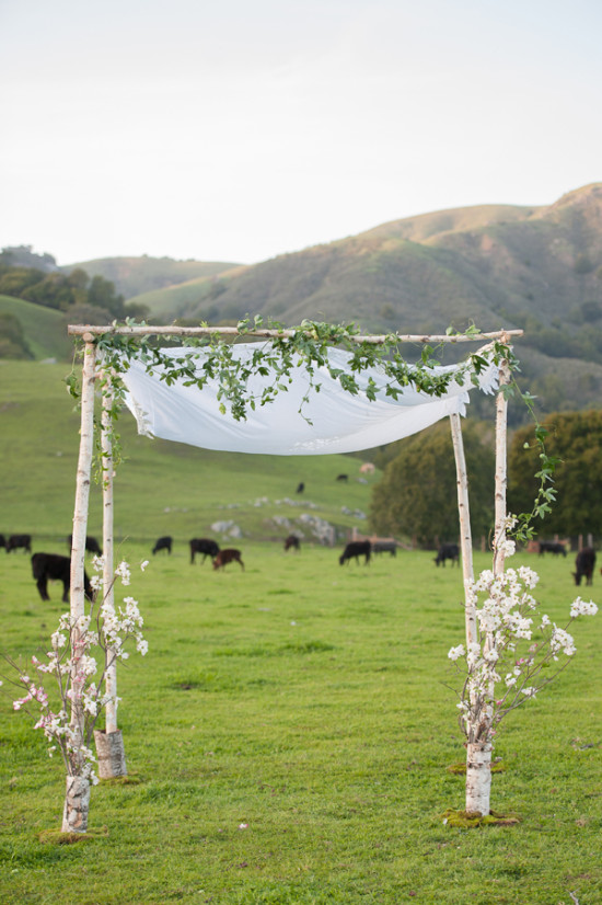 run-for-the-hills-and-get-married