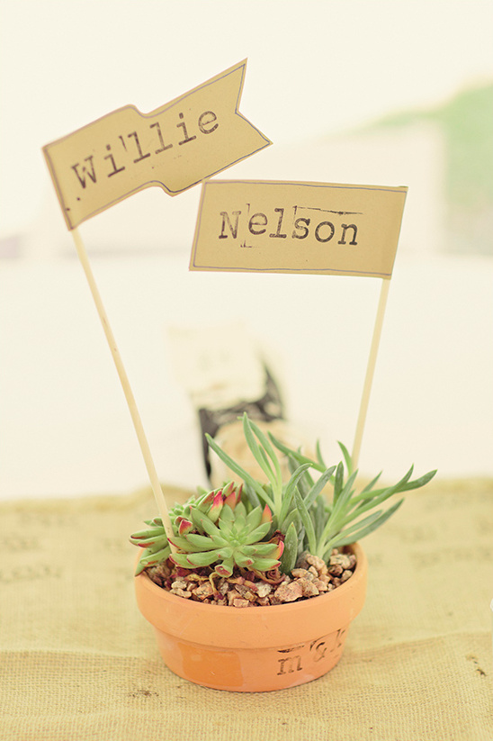 willie nelson table name flags