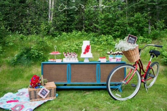 Lovely picnic scene with dessert table and bicycle in nature