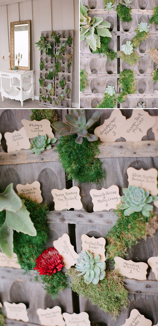 rustic succulent and moss covered escort card station