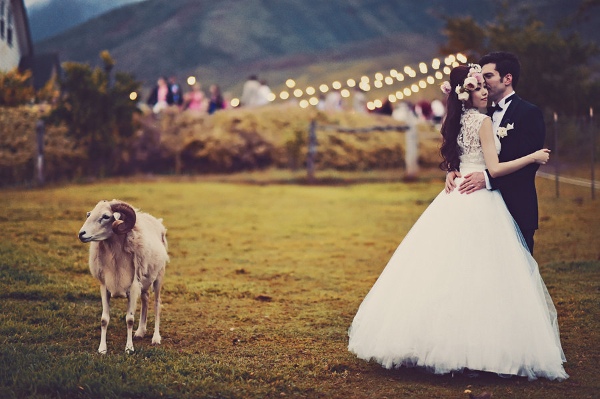 maui-wedding-at-lahaina-animal-farm