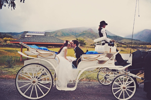 maui-wedding-at-lahaina-animal-farm