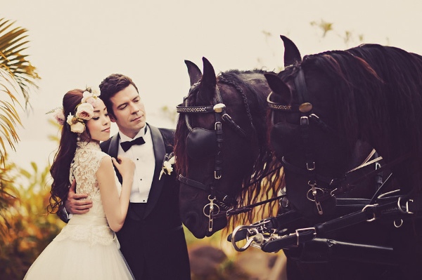 maui-wedding-at-lahaina-animal-farm