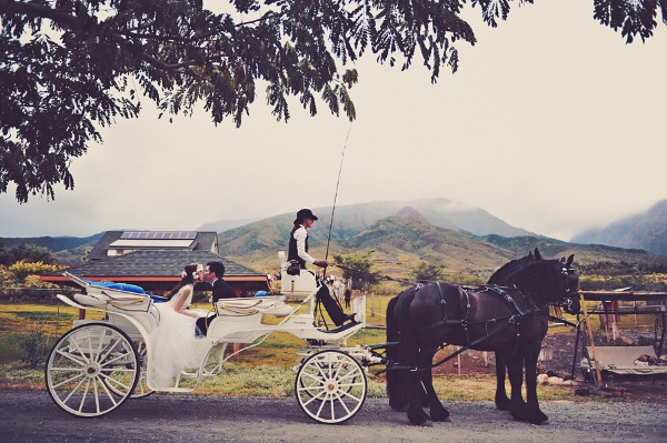 maui-wedding-at-lahaina-animal-farm