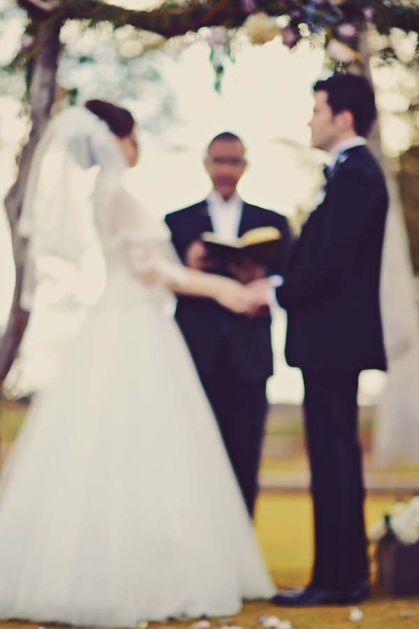 maui-wedding-at-lahaina-animal-farm