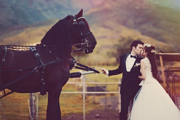 maui-wedding-at-lahaina-animal-farm