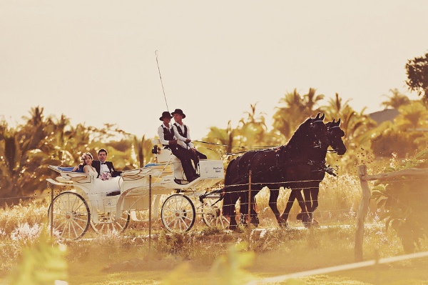maui-wedding-at-lahaina-animal-farm
