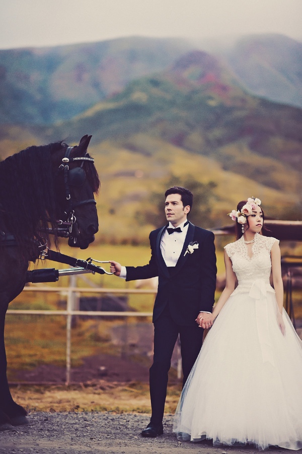 maui-wedding-at-lahaina-animal-farm