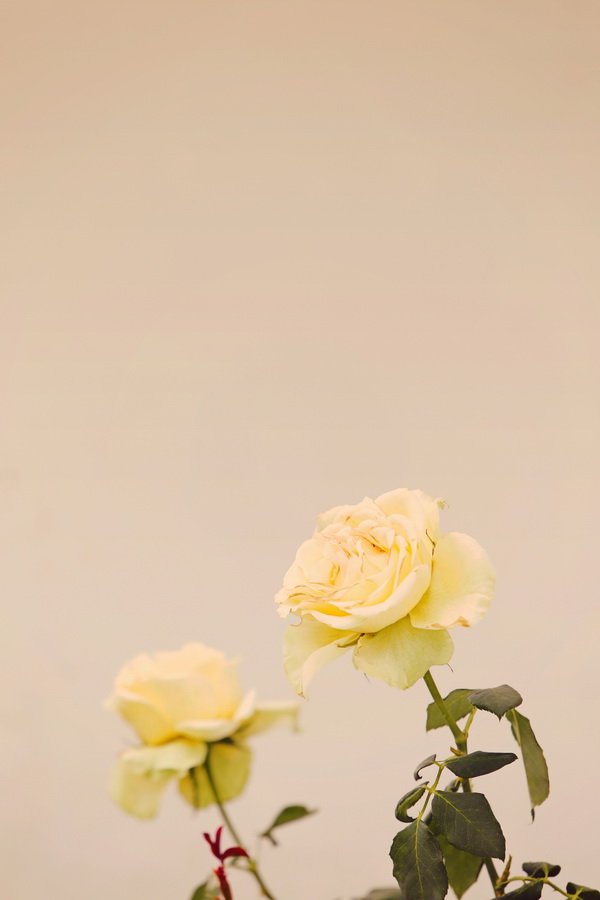 mint-and-white-wedding-in-malibu