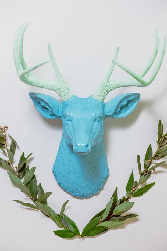 blue and green buck