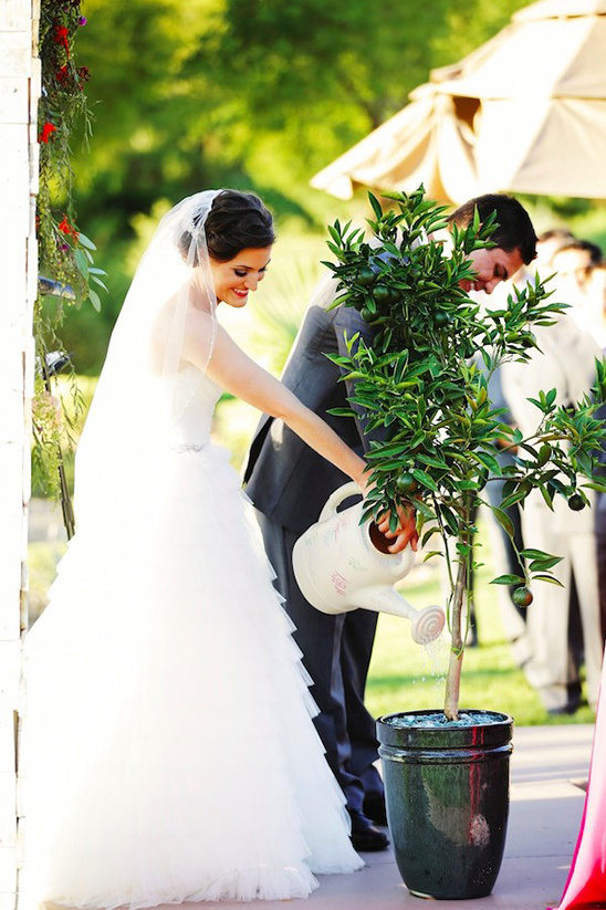 tree planting wedding ceremony