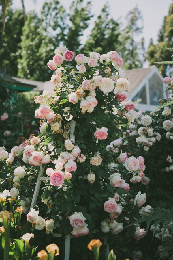 russia-meets-southern-charm-wedding