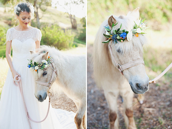wedding pony with floral crown