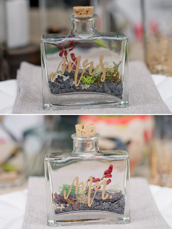 mr and mrs terrariums