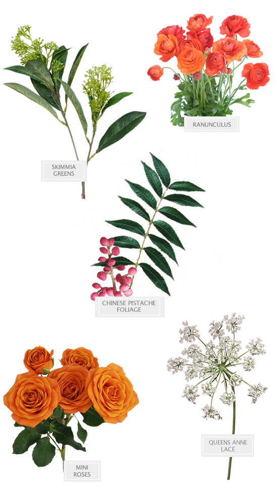 Assortment of flowers including roses and foliage isolated