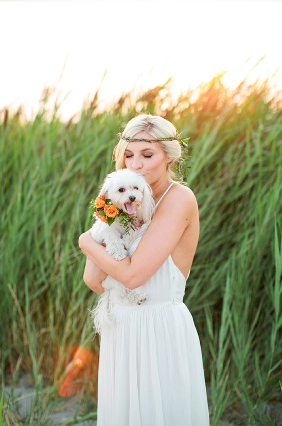Bride in white dress kisses white dog with flower collar