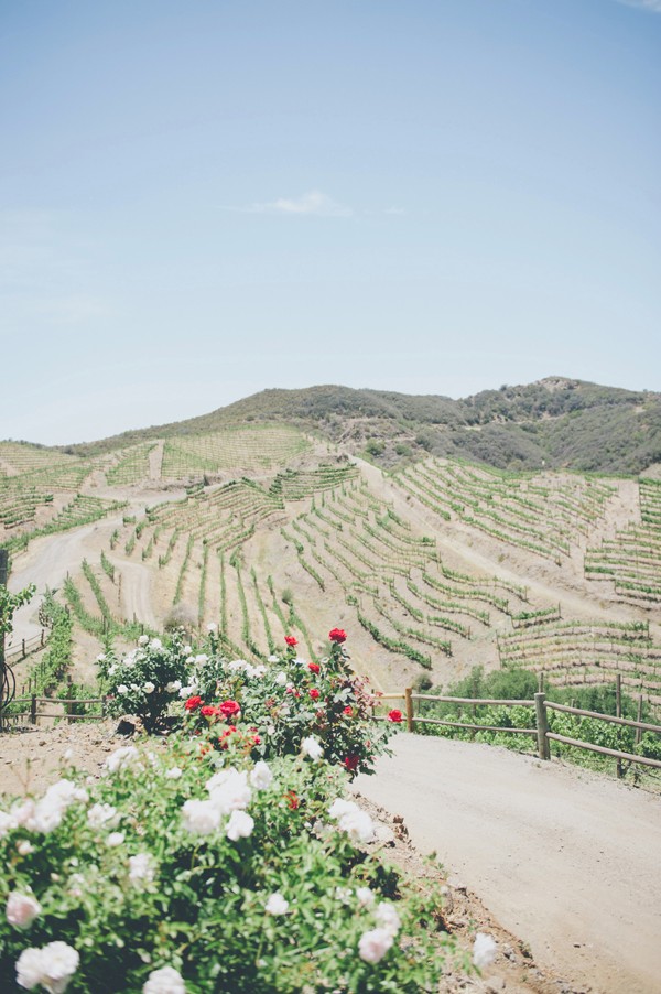 warm-and-sunny-california-wedding