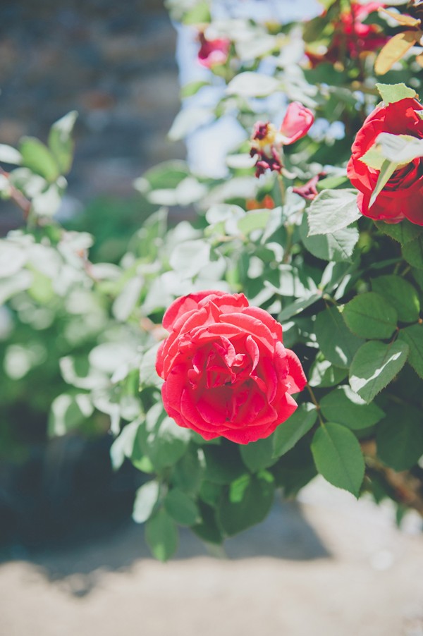 warm-and-sunny-california-wedding