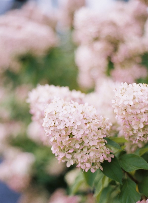 whimsical-natural-virginia-wedding