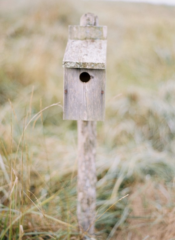 whimsical-natural-virginia-wedding