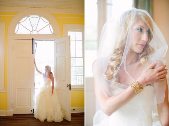 Elegant bride in veil and dress wedding day portrait