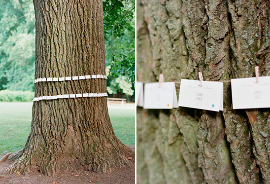 escort cards wrapped around the tree