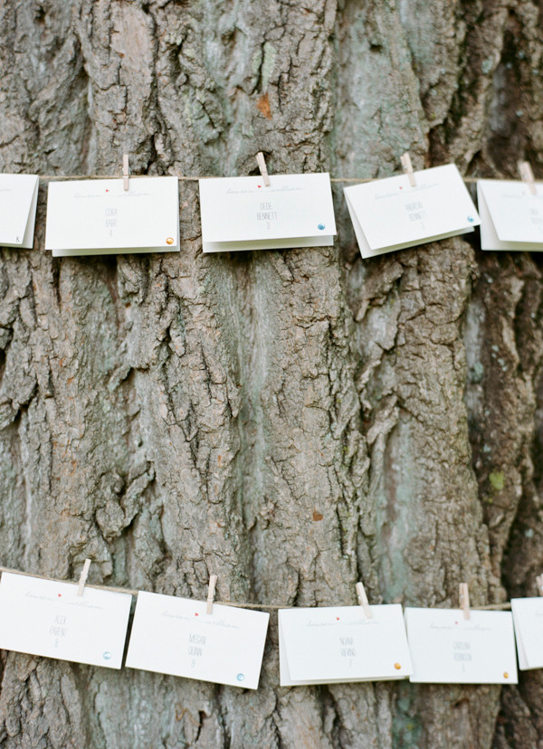 blue-nature-inspired-wedding