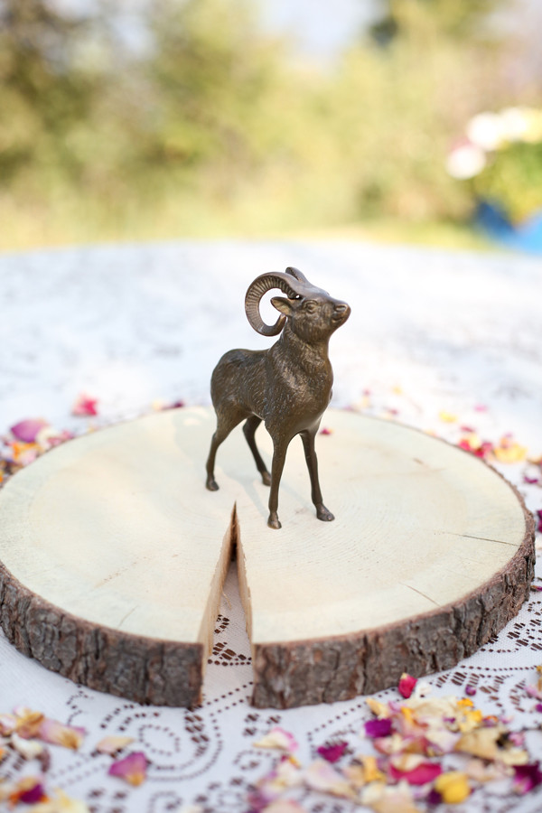 classy-and-eclectic-canadian-wedding