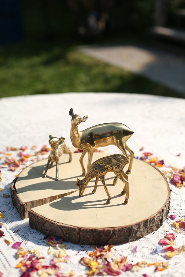 classy-and-eclectic-canadian-wedding