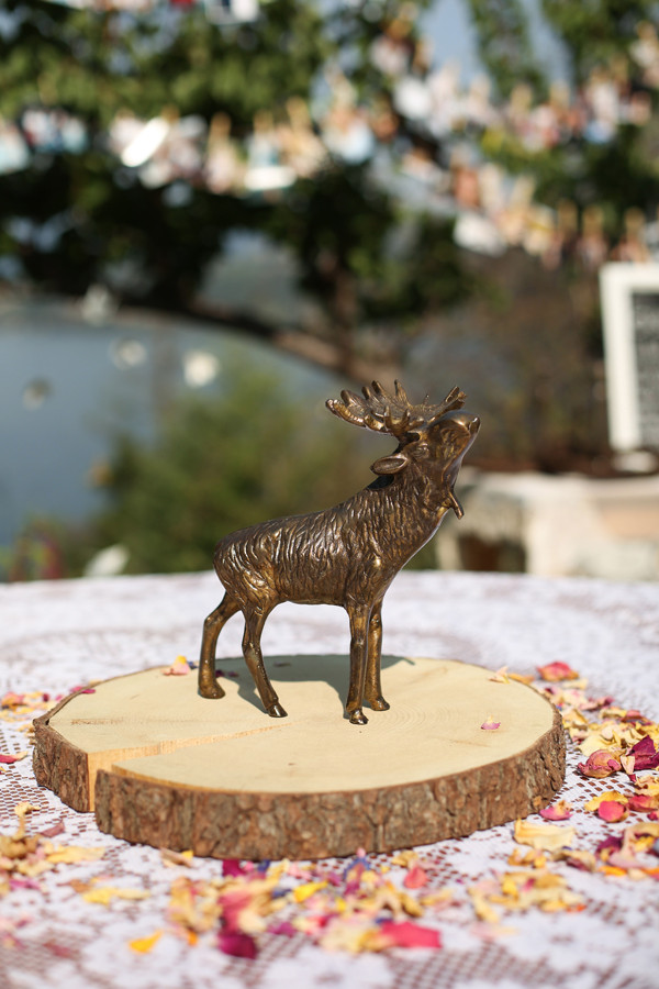 classy-and-eclectic-canadian-wedding