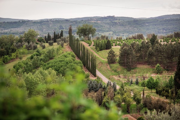 hillside-fairytale-italian-wedding