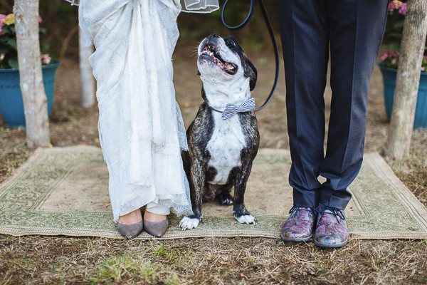 hip-backyard-wedding