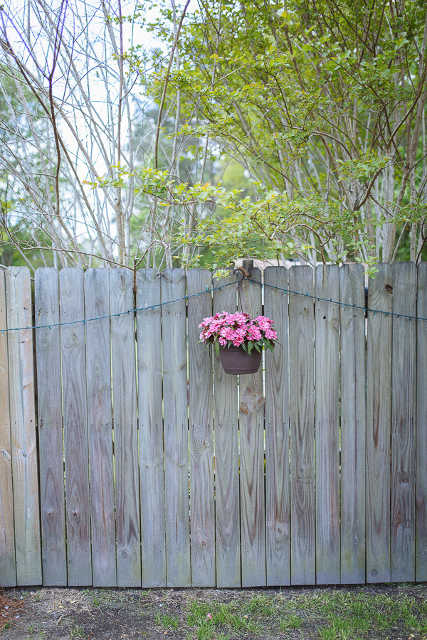 hip-backyard-wedding